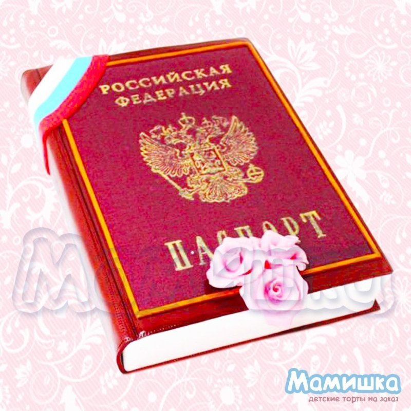 Воздушный шар в виде паспорта на 14 лет