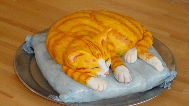 Торт с котятами