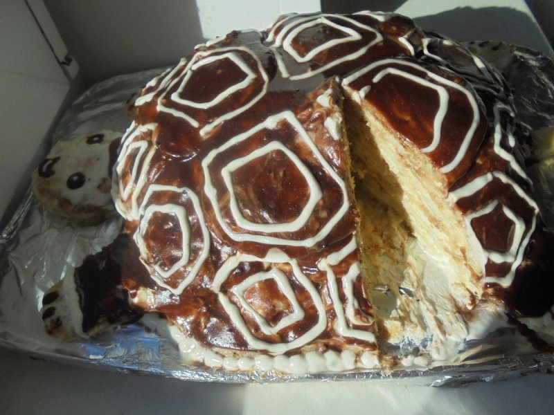 Торт черепаха из киви