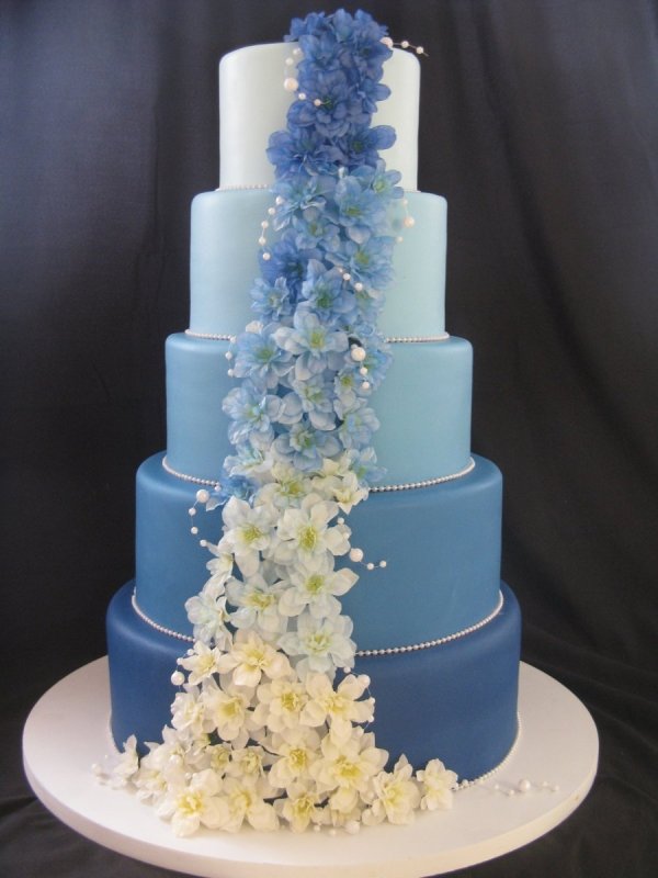 Торт Blue Velvet