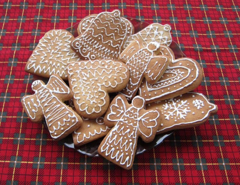 Поморская Козуля