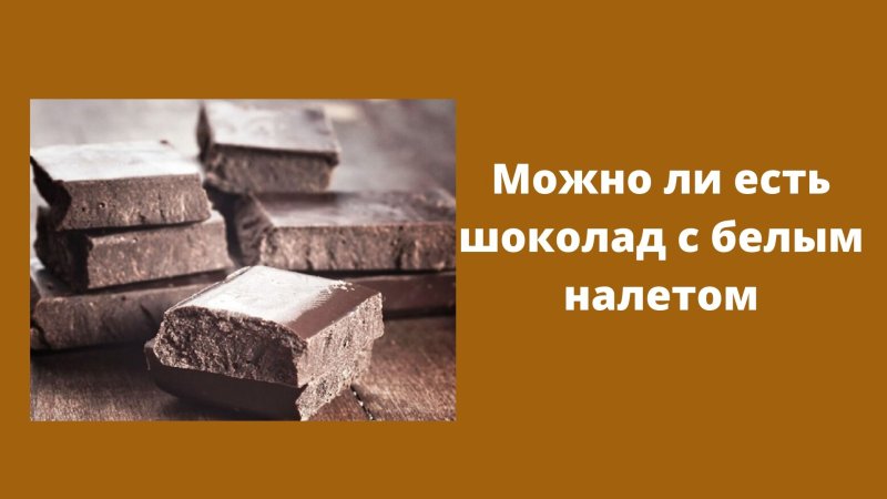 Плесень в шоколадной пасте