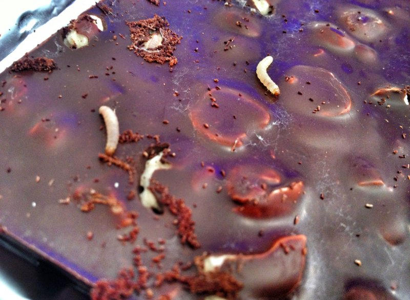 Molten Chocolate