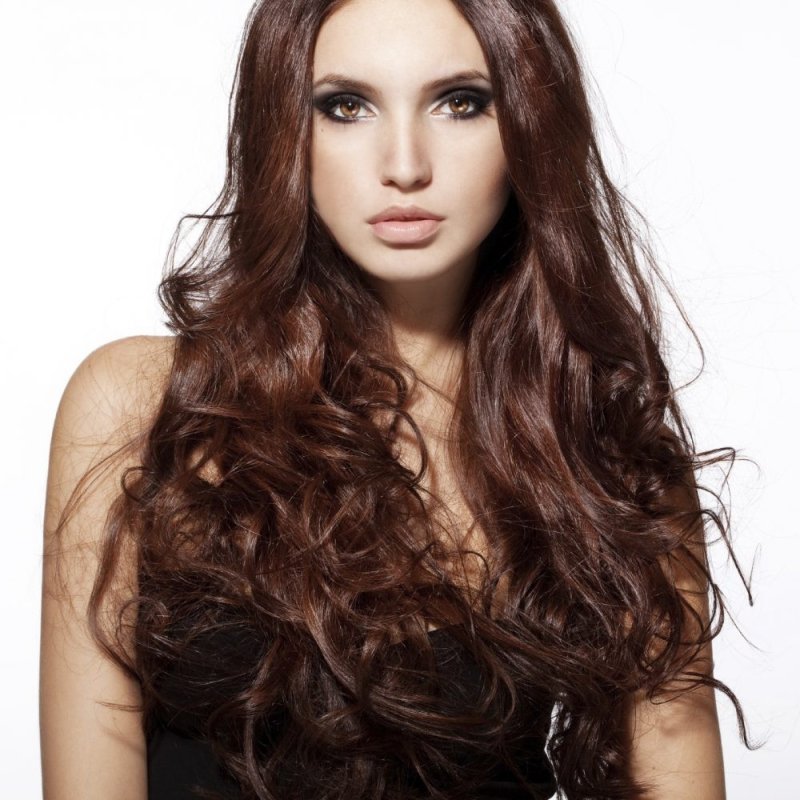 Chestnut Brown цвет волос