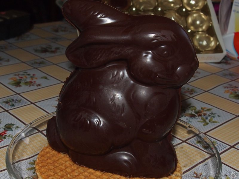 Шоколадный заяц (Chocolate Bunny)