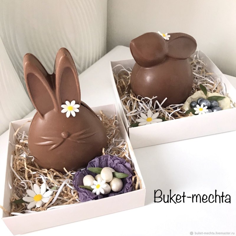 Кролик вислоухий шоколадный