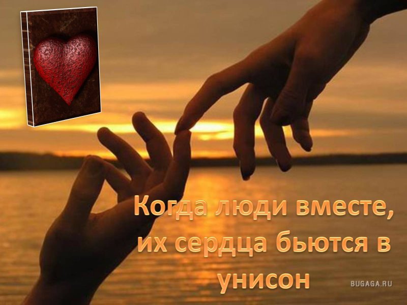 Любовь с небес