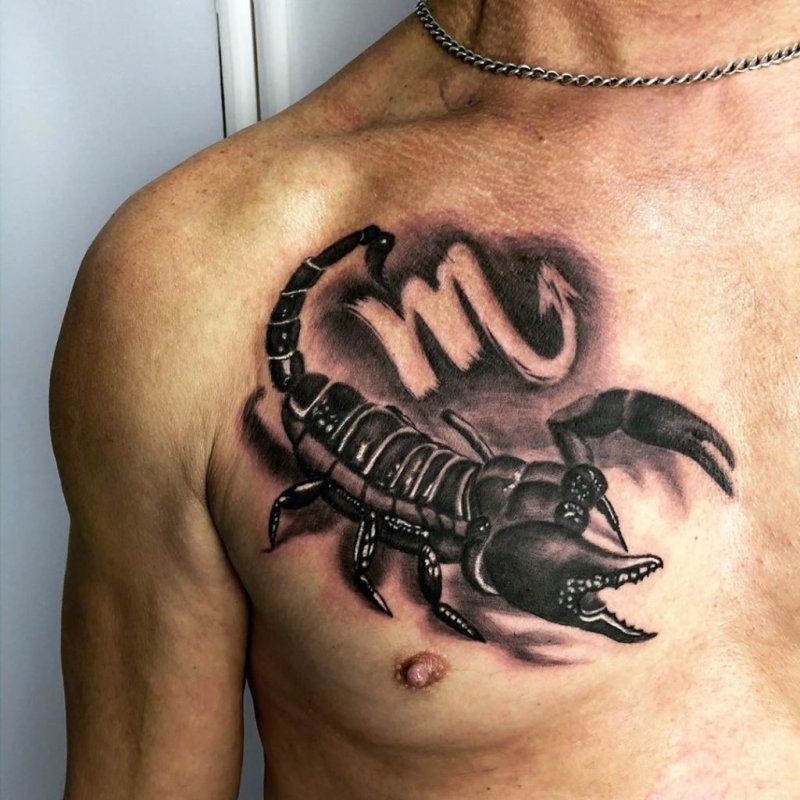 Зарисовки знаков зодиака