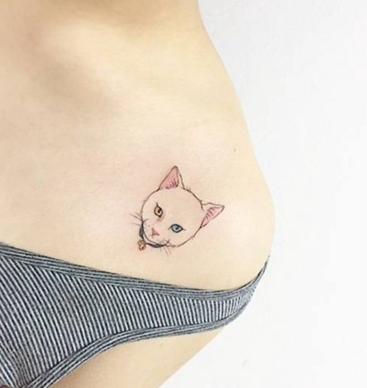 Тату кошка на животе
