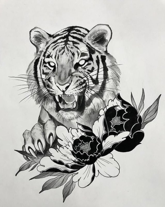 Эскиз тигра