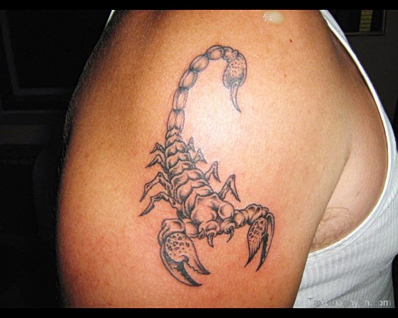Tattoos Scorpion сзади предпоечья