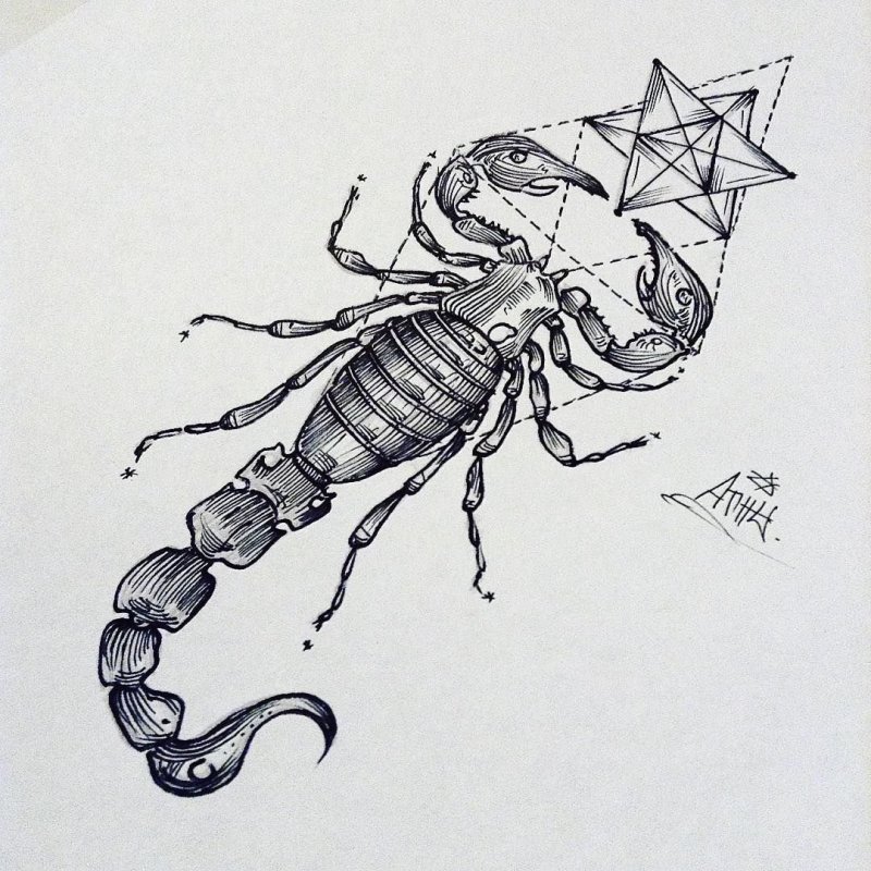 Скорпион трайбл эскиз