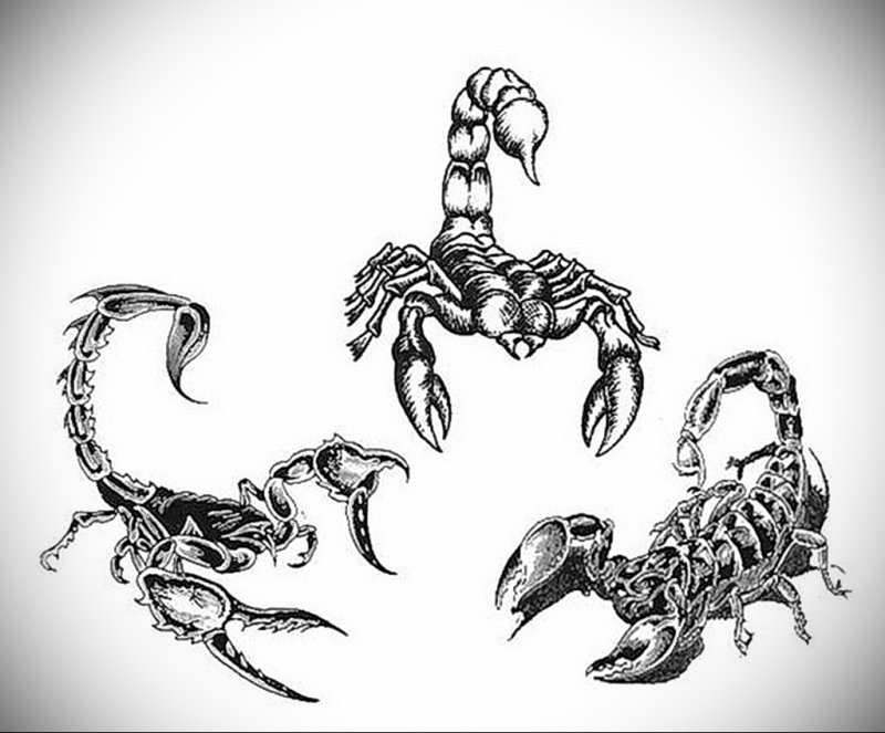 Татуировка Скорпион эскизы