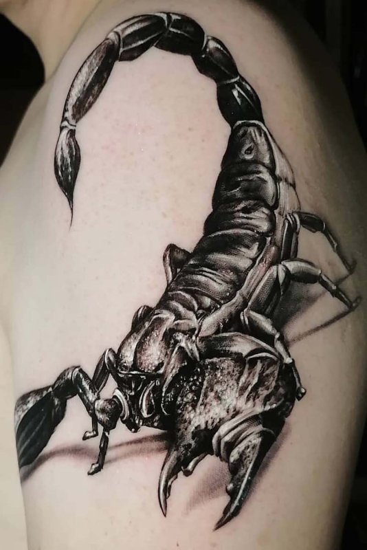 Scorpions тату