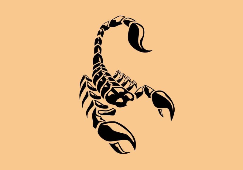 Знак зодиака Скорпион тату эскизы