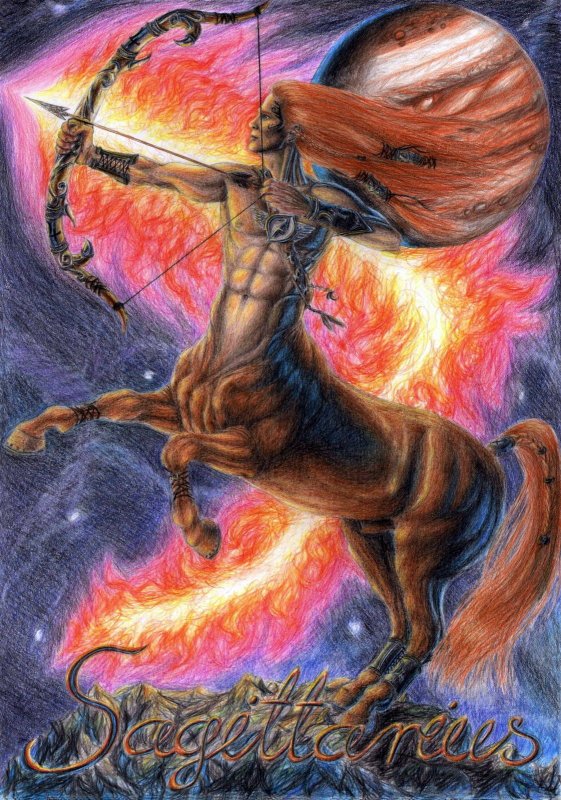 Стрелец Sagittarius