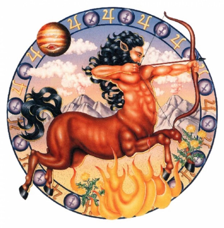 Стрелец Sagittarius