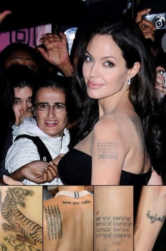 Angelina Jolie know your rights