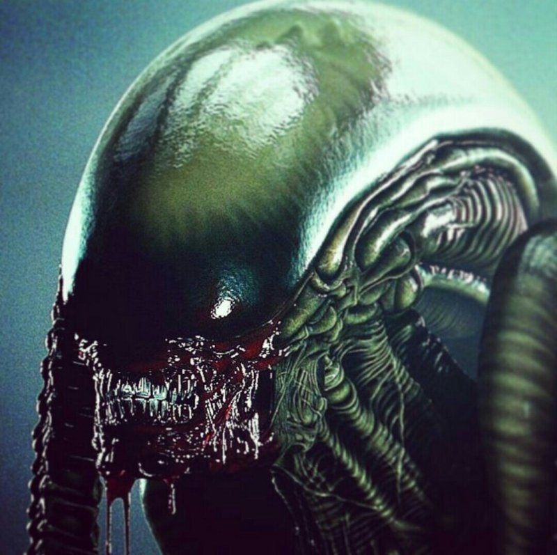 Predator тату