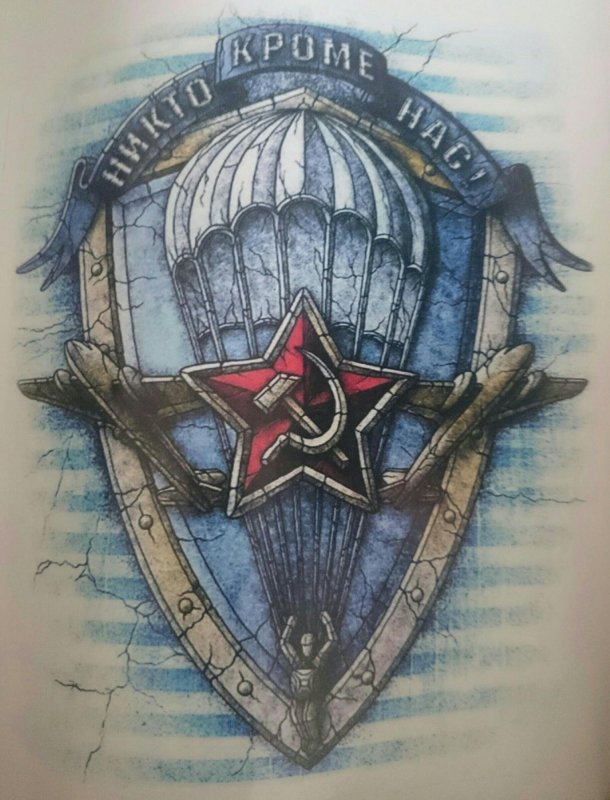 Тигр 76 дивизия ВДВ