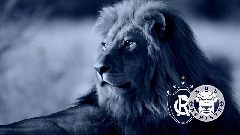 Leo картинки