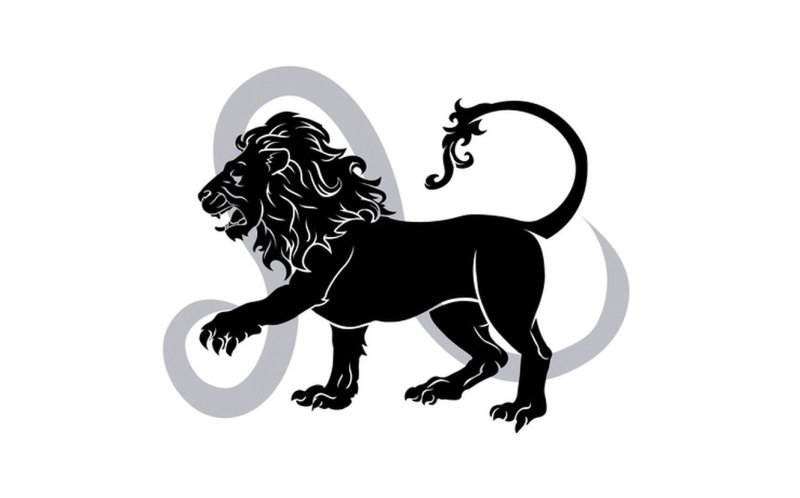 Лев Король зверей