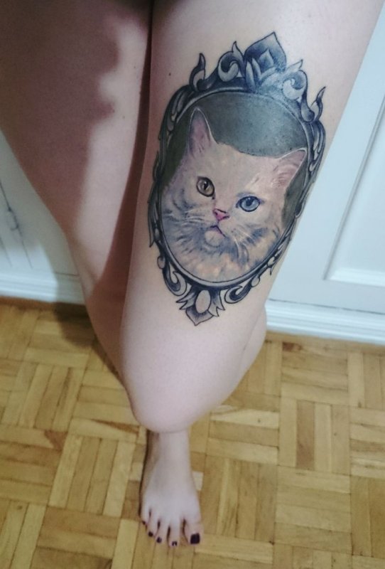 Татуировка кошка