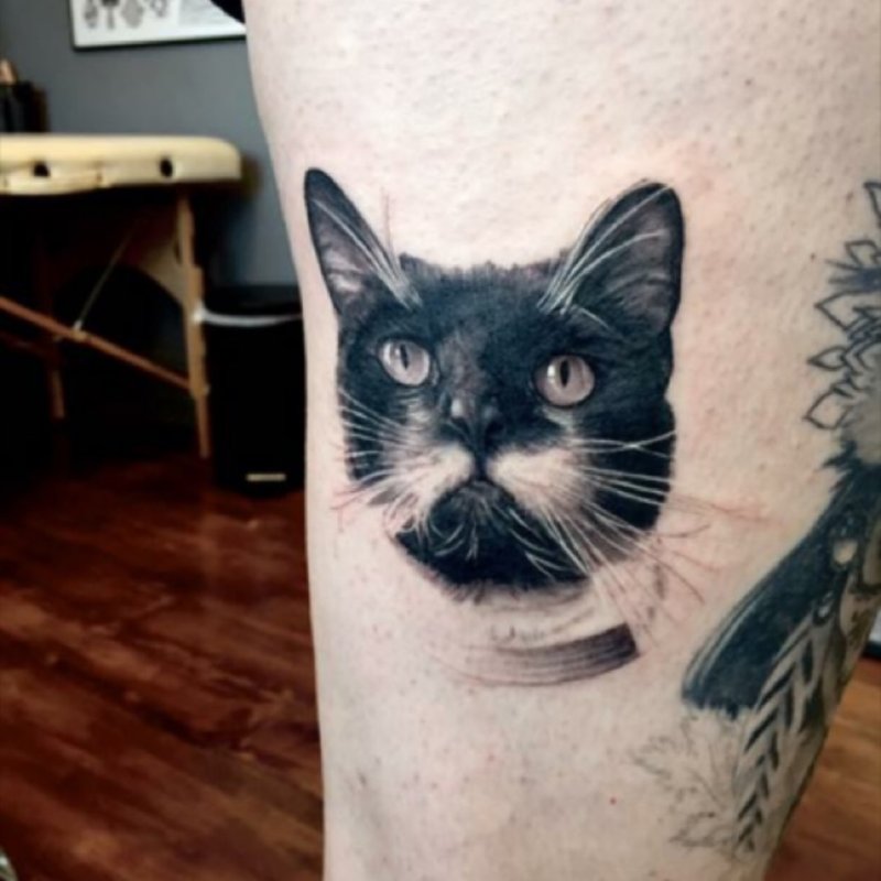 Наколка кот ухмыляется