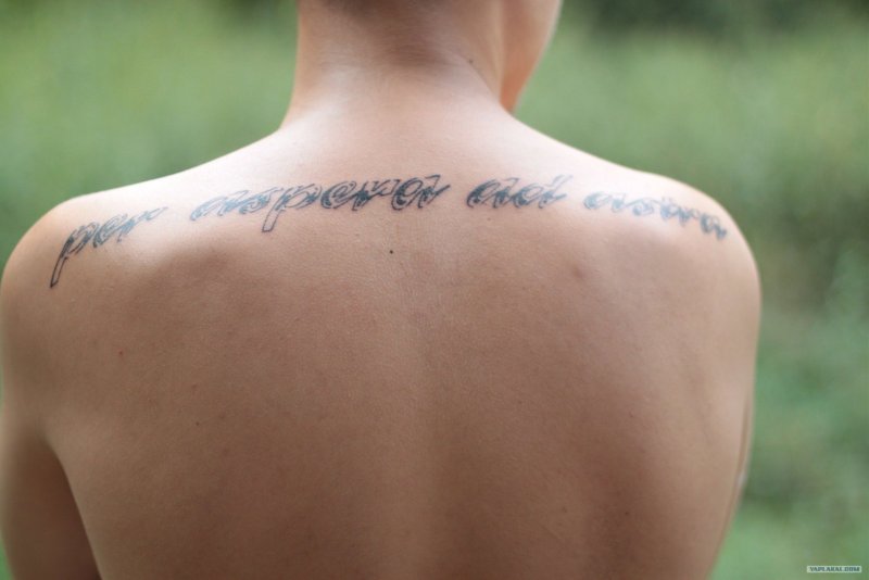 Per aspera ad Astra тату на спине