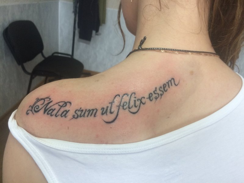 Fortes Fortuna adjuvat Джон уик