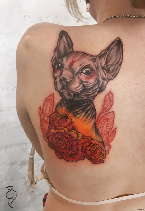 Кот сфинкс тату