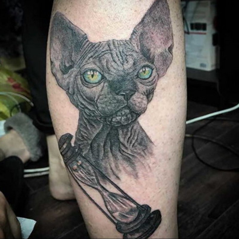 Египетская кошка сфинкс тату на кошке