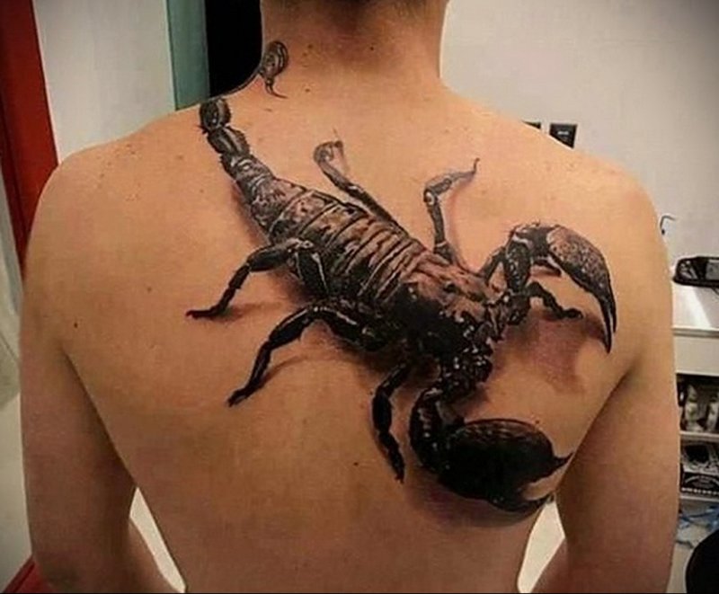 Скорпион реализм