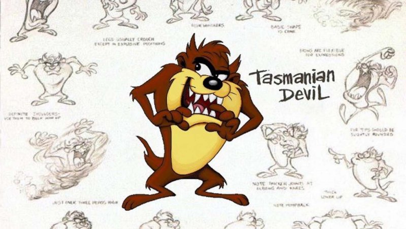 Тасманийский дьявол какает