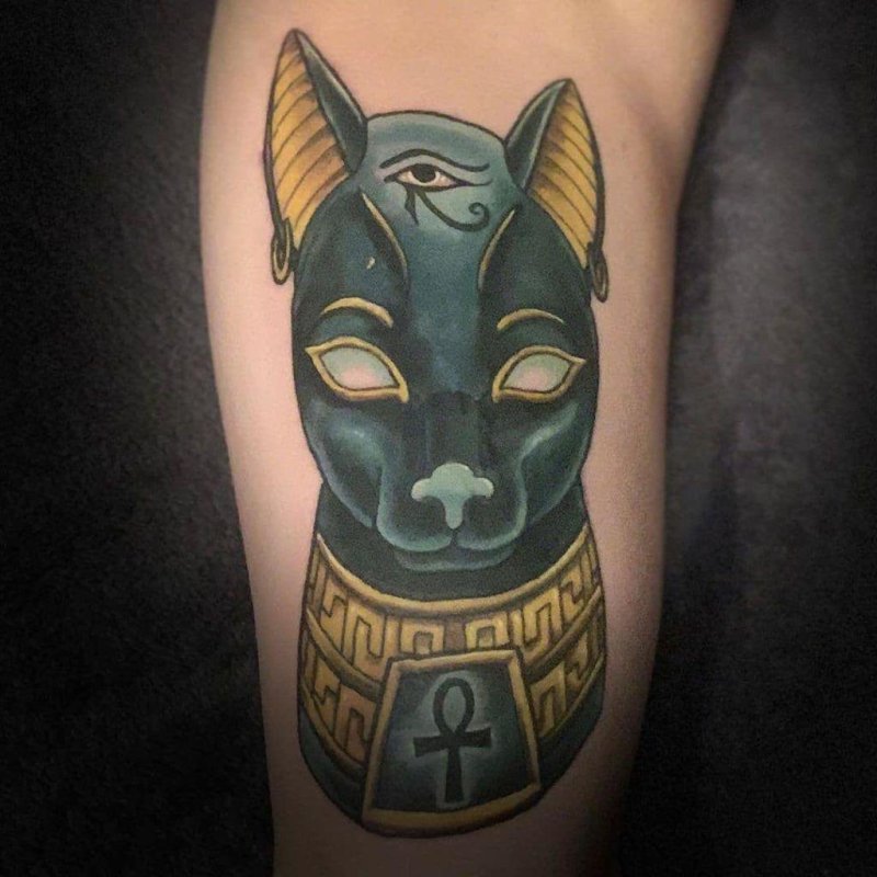 Кошка сфинкс в наколках