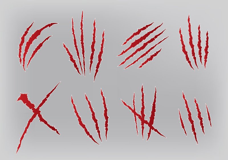 Царапины от когтей
