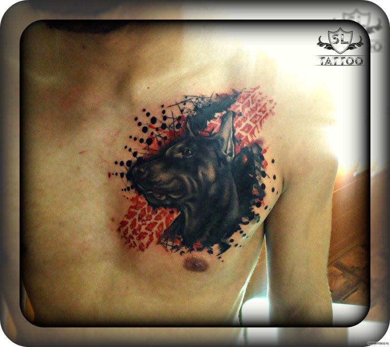 Animals brand Tattoo коллекция