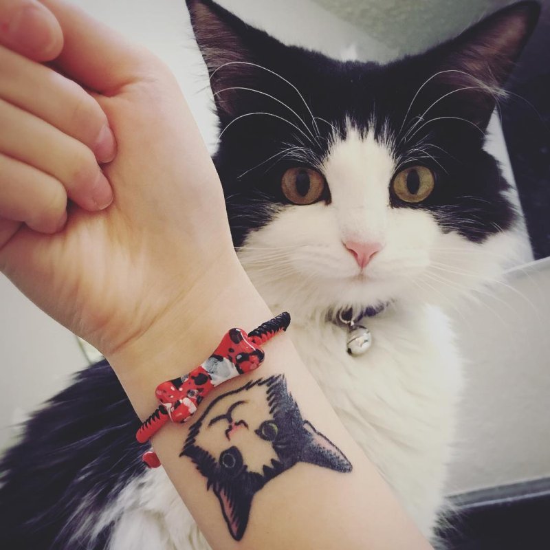 Тату кошка