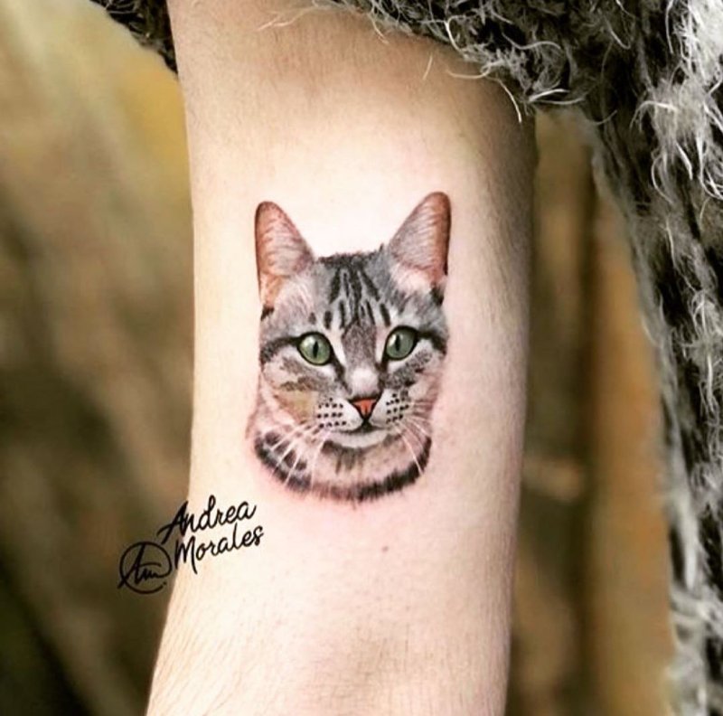 Тату кошка на руке