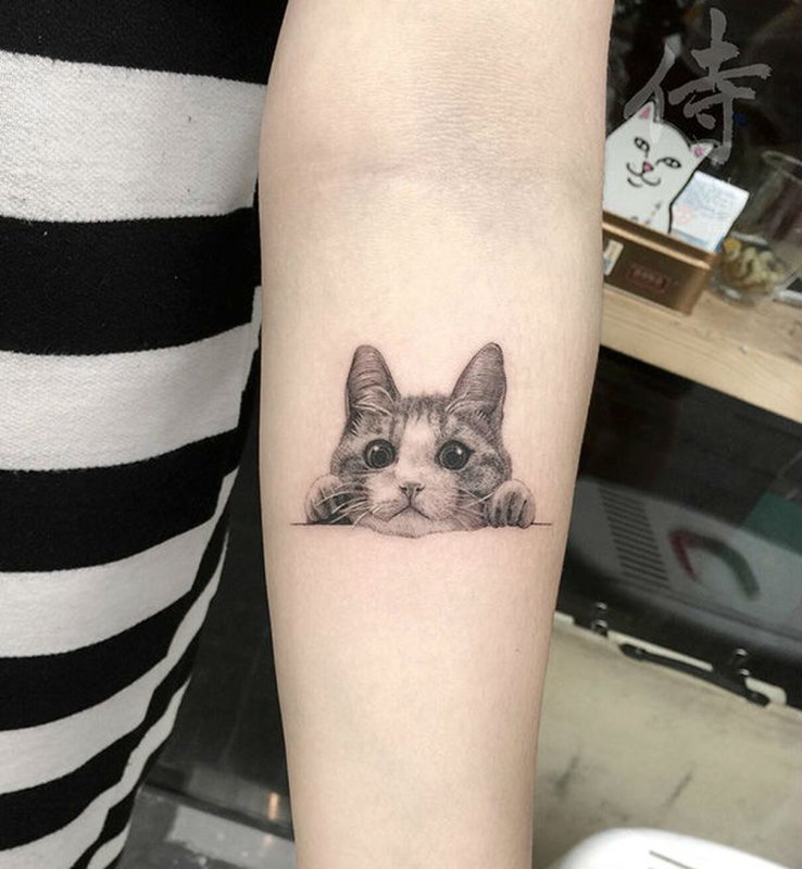 Тату кошка на руке