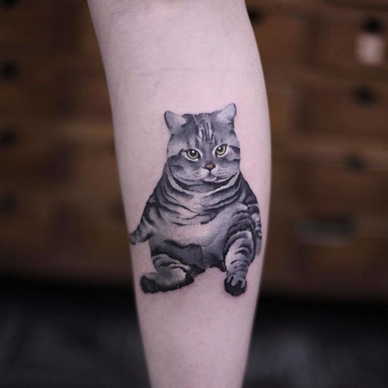 Тату вислоухого кота