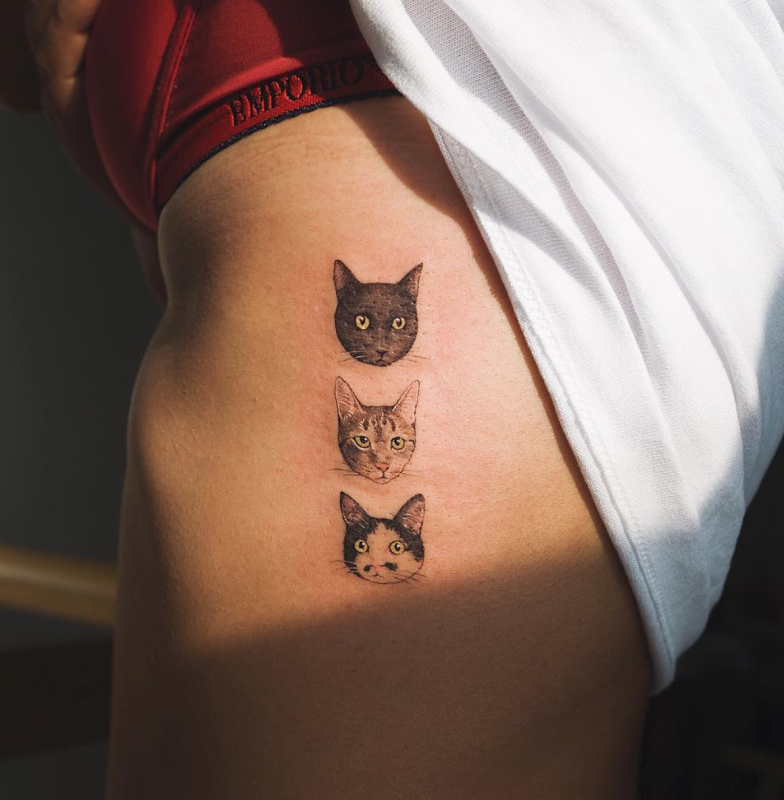 Тату коты