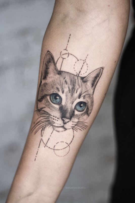 Тату кот
