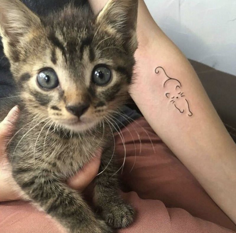Милые котята тату