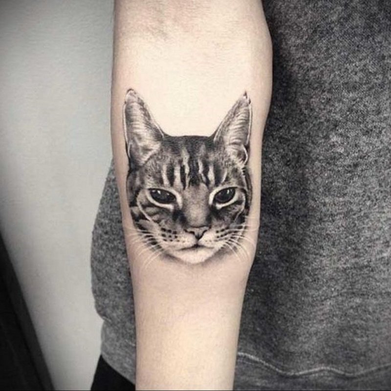 Тату мордочка кошки