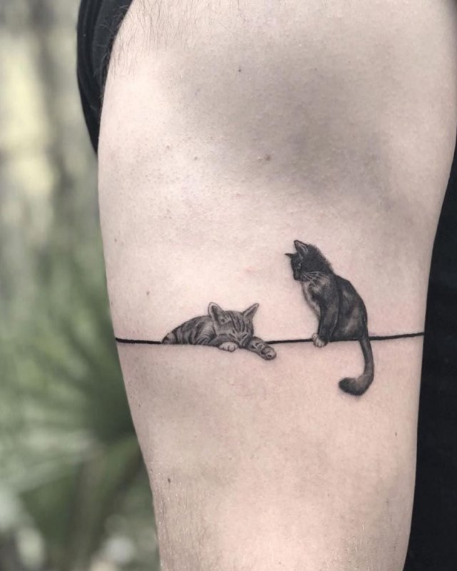 Тату котенок