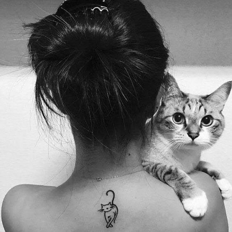 Тату кошка