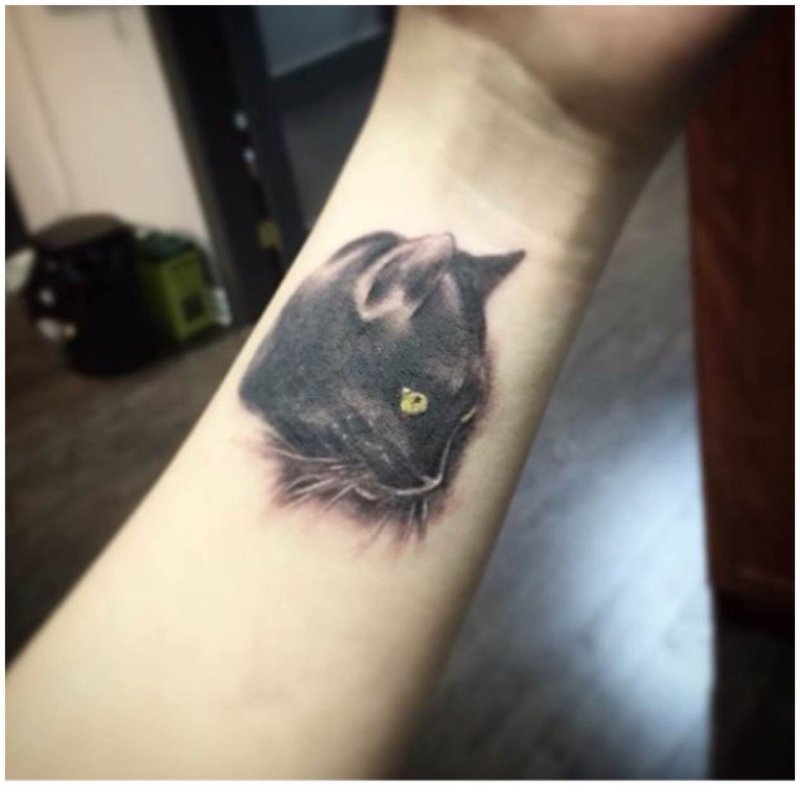 Тату черная кошка на руке