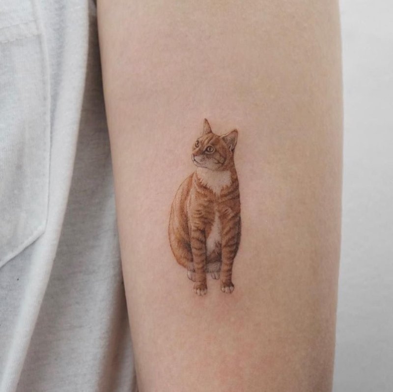 Татуировка кот