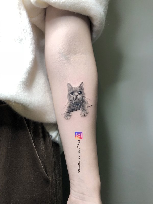 Тату кошка маленькая